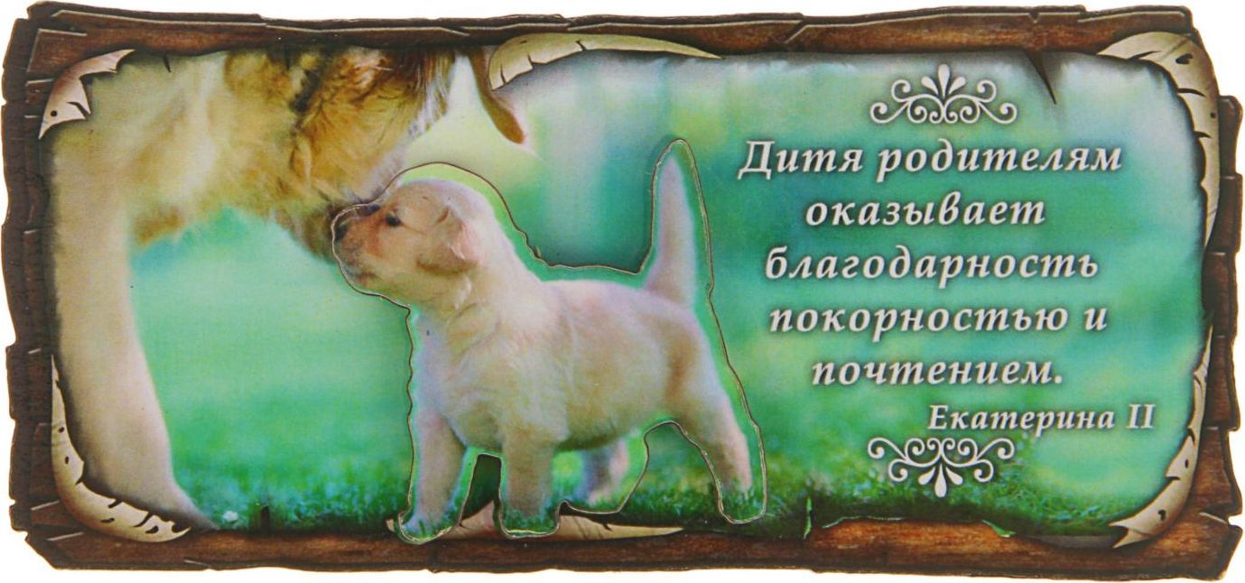 Магнит Sima-land Благодарность родителям. Символ 2018, 12,5 х 6 см2313913 Магнит Sima-land Благодарность родителям. Символ 2018, 12,5 х 6 см2313913Порадуйте родных и близких оригинальным сувениром: преподнесите в подарок магнит. С ним даже самый серьезный человек почувствует себя ребенком, ожидающим чудо! Прикрепите его к любой металлической поверхности, и он удержит на виду важные записки, любовные послания или просто список продуктов.Создайте праздничное настроение, и оно останется с вами на весь год.