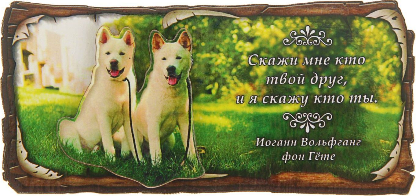 Магнит Sima-land Кто твой друг. Символ 2018, 12,5 х 6 см2313930 Магнит Sima-land Кто твой друг. Символ 2018, 12,5 х 6 см2313930Порадуйте родных и близких оригинальным сувениром: преподнесите в подарок магнит. С ним даже самый серьёзный человек почувствует себя ребёнком, ожидающим чудо! Создайте праздничное настроение, и оно останется с вами на весь год.