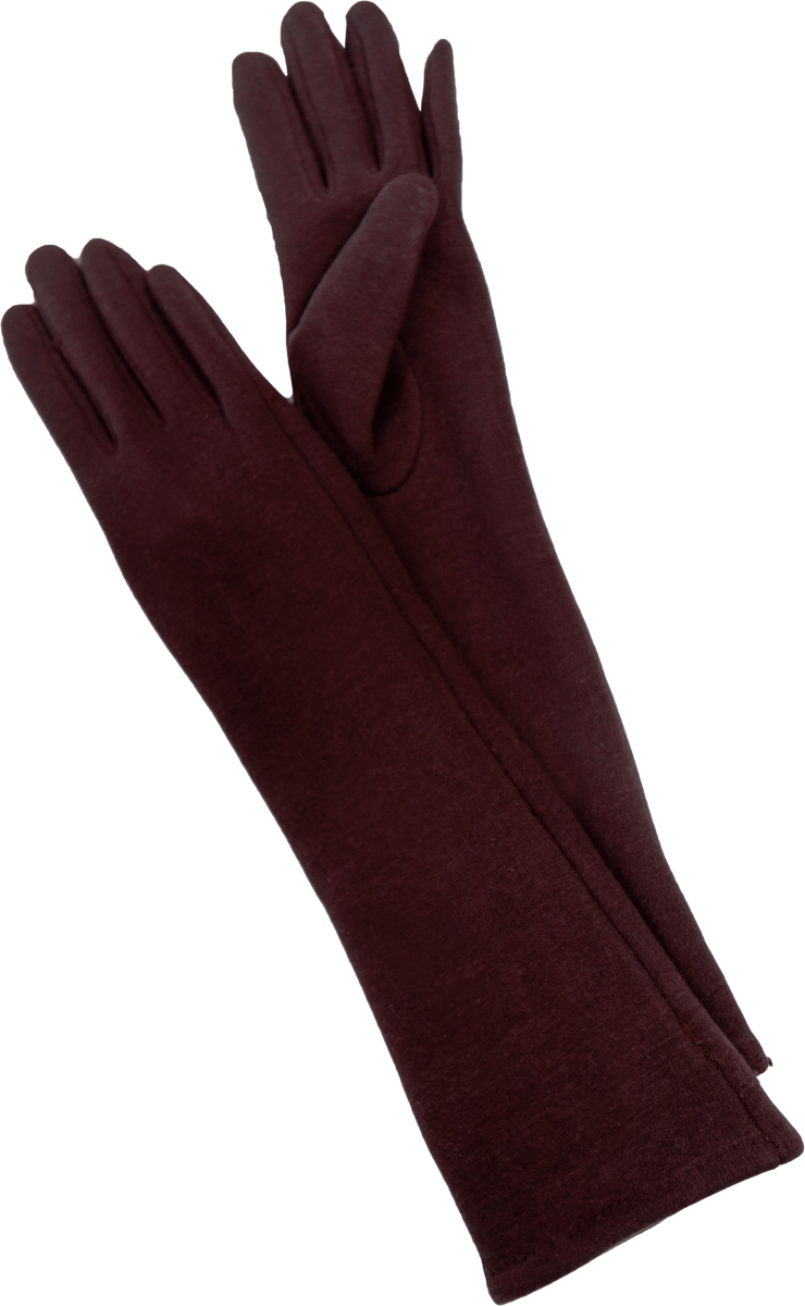 Перчатки женские длинные Sophie Ramage, цвет: коричневый. GL-217051. Размер универсальный