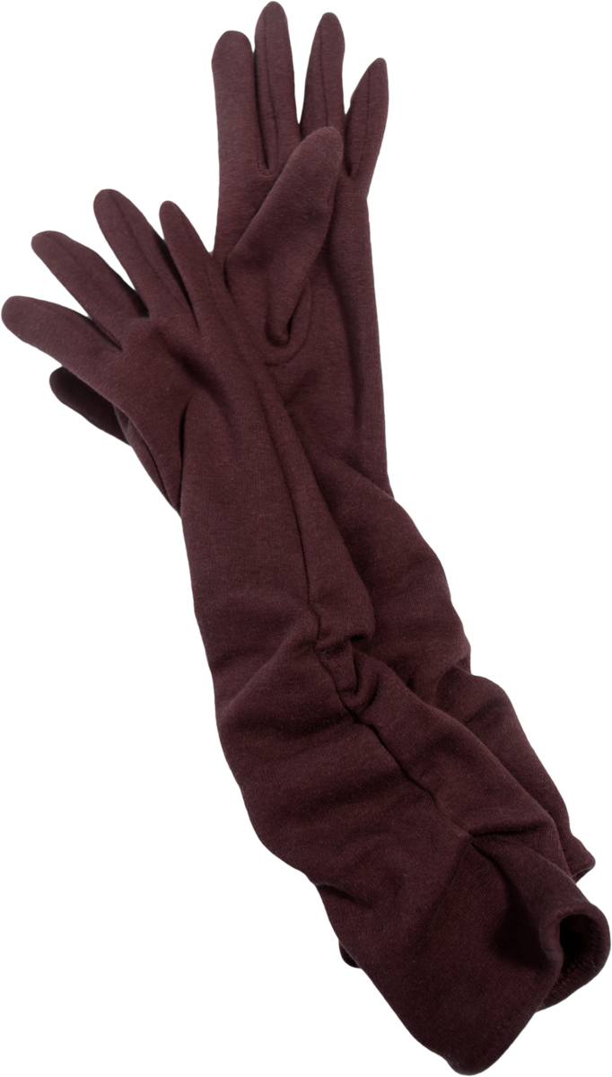 Перчатки женские длинные Sophie Ramage, цвет: коричневый. GL-217072. Размер универсальный