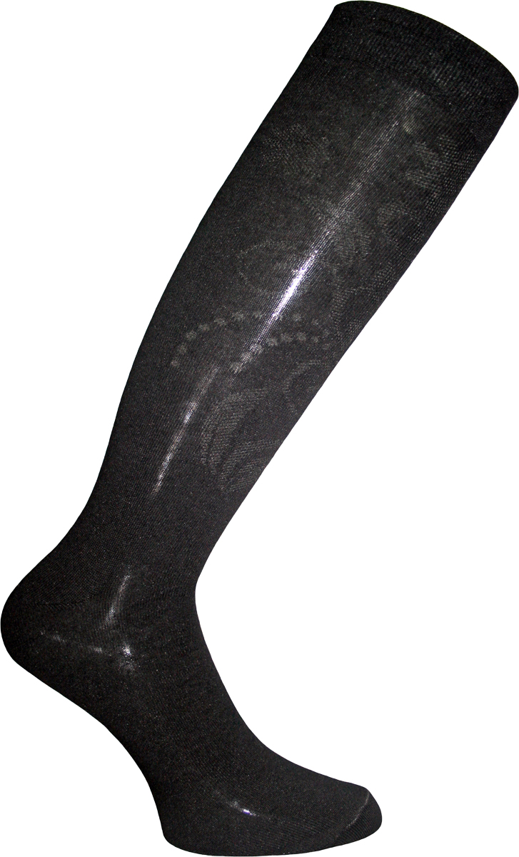 Гольфы женские Master Socks, цвет: черный. 56003. Размер 23