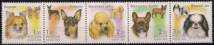 2000. Декоративные собаки. № 605 - 609сц. Сцепка