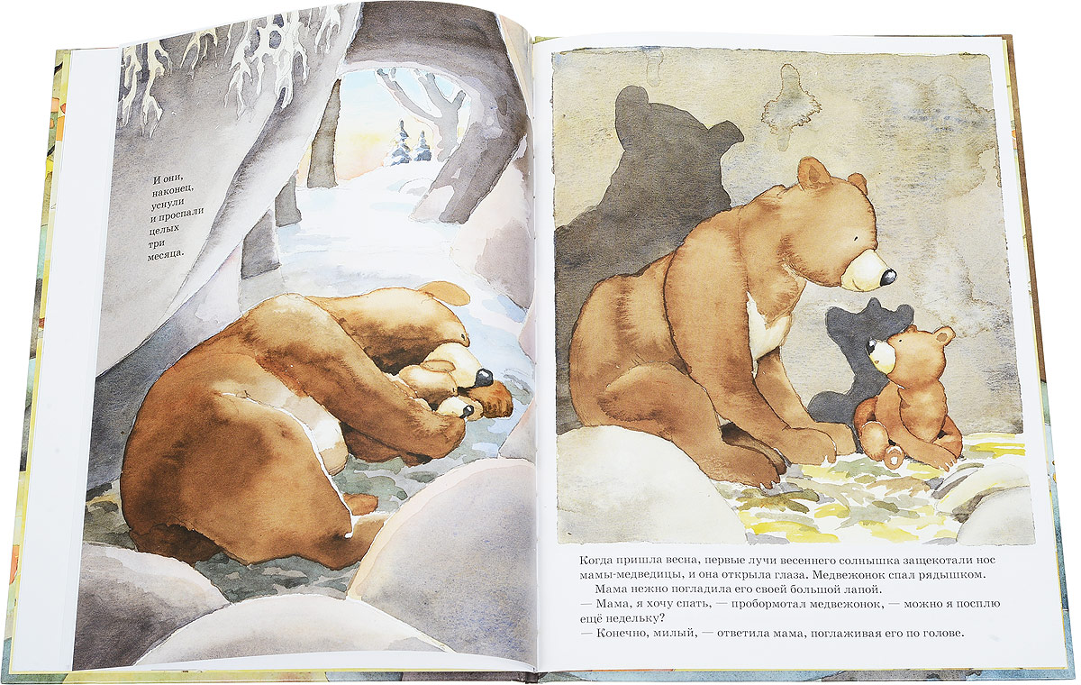 Рассказы про спящие. Ложись спать Медвежонок книга. Книги про спящих медведей для детей. Медведь с книгой.