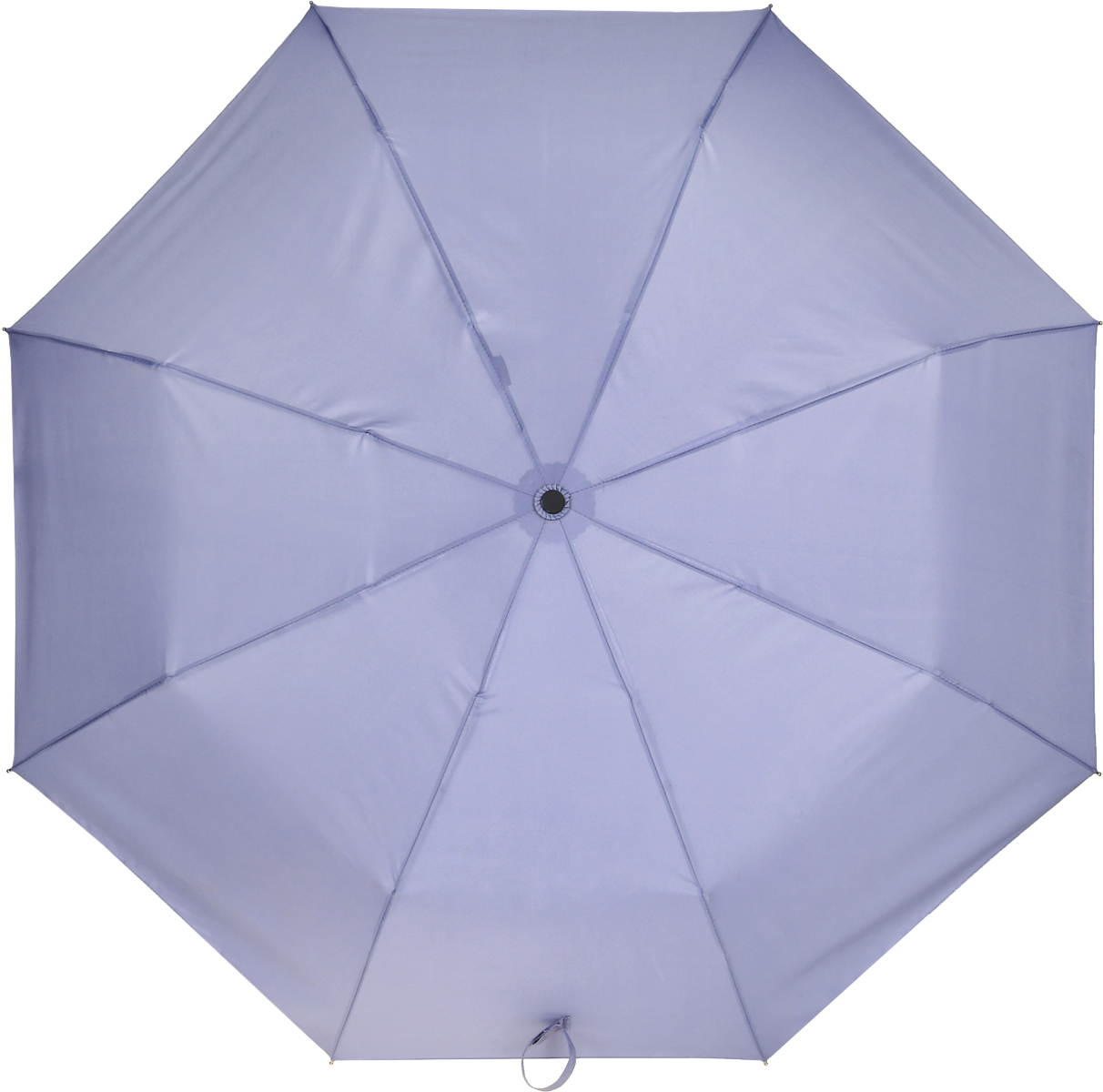 Зонт женский Labbra, цвет: сиреневый. A3-05-LT200a
