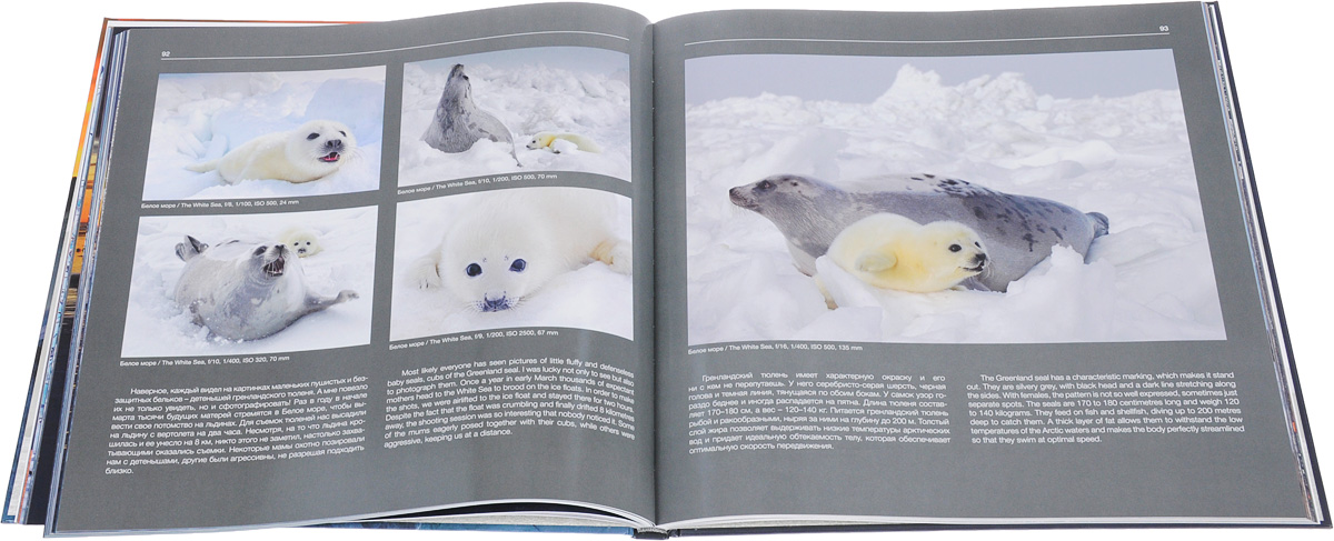 The Arctic: The Magic of Attraction / .  .   