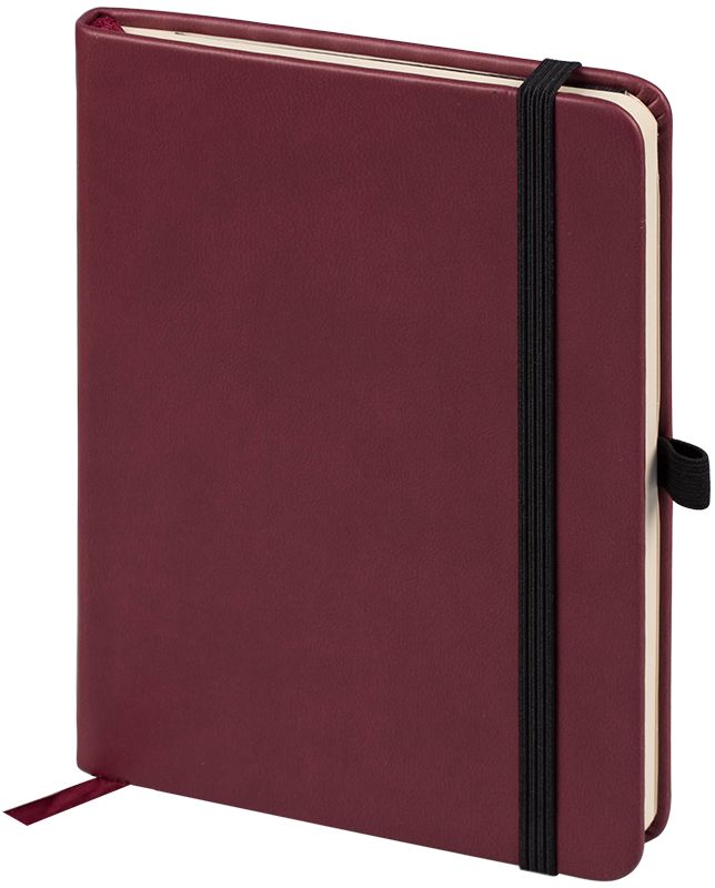 OfficeSpace Ежедневник Classic Velvet недатированный 96 листов цвет бордовый формат A6En6v_12899 OfficeSpace Ежедневник Classic Velvet недатированный 96 листов цвет бордовый формат A6En6v_12899Недатированный ежедневник OfficeSpace Classic Velvet имеет обложку, изготовленную из высококачественного кожзаменителя с мягким гладким матовым покрытием, цвет обложки - бордовый. Подходит для всех видов полиграфического тиснения. Внутренний блок состоит из 96 листов тонированной офсетной бумаги в линейку, плотностью 70 г/м2, печать блока в 2 краски, справочный материал. Вертикальная фиксирующая резинка на обложке. На заднем форзаце размещен удобный карман для визиток и документов. Удобная закладка-ляссе.Формат A6.