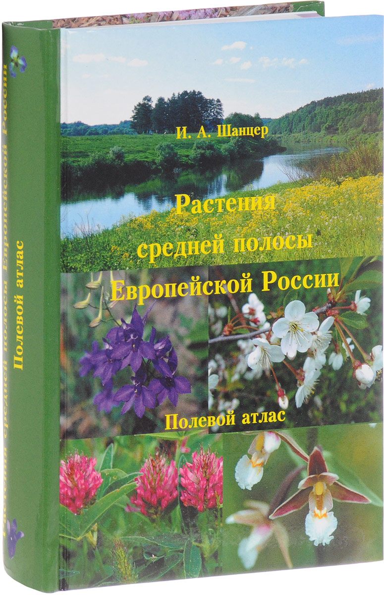 Растения средней полосы Европейской России. Полевой атлас. И. А. Шанцер
