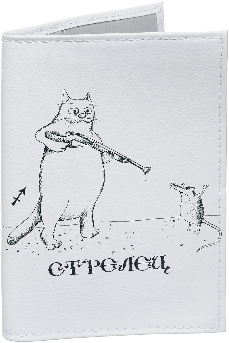 Обложка для паспорта Mitya Veselkov 