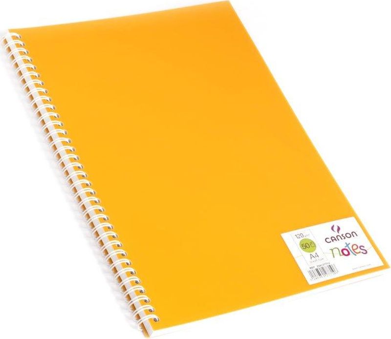Canson Блокнот для зарисовок Canson Notes цвет оранжевый 50 листов 204127710204127710 Canson Блокнот для зарисовок Canson Notes цвет оранжевый 50 листов 204127710204127710Блокноты Canson Notes прекрасно подходят для современных художников. Они идеальны для ежедневных записей, набросков, карандаша, пастели и чернил.Благодаря высококачественной бумаге, гелиевые и масляные чернила не просачиваются, а пластиковая обложка защищает листы от смятия.Бумага в блокнотах соответствует международному стандарту ISO 9706, не содержит кислот, производится без применения оптических отбеливателей, устойчива к плесени.