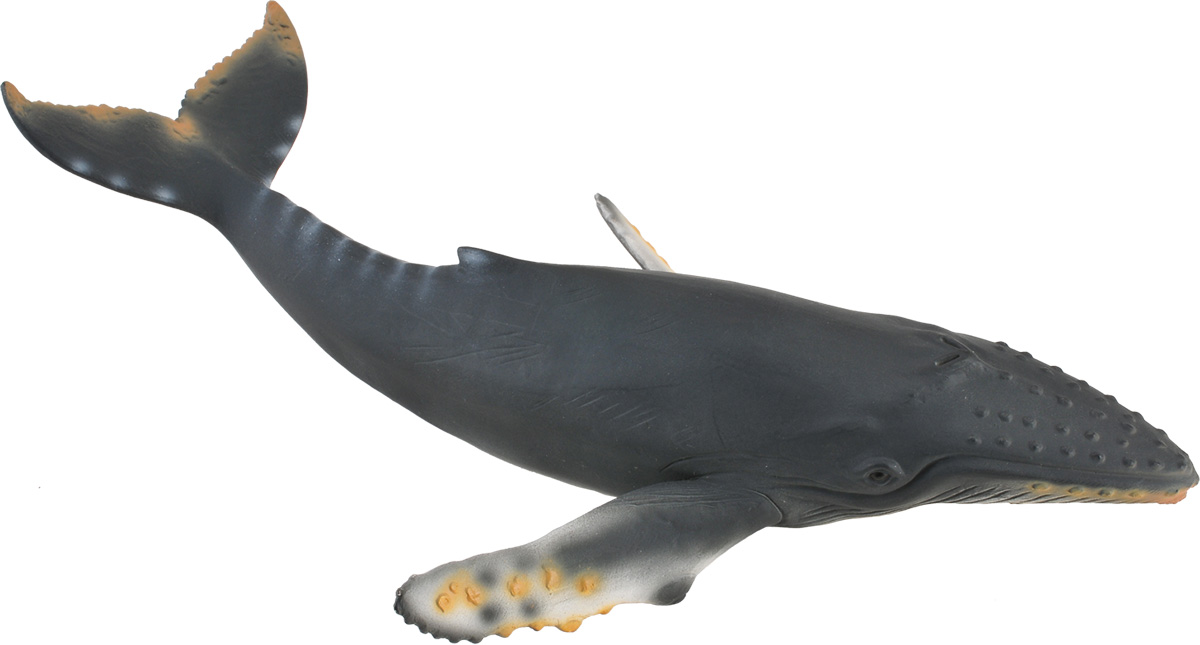 Collecta Фигурка Горбатый кит