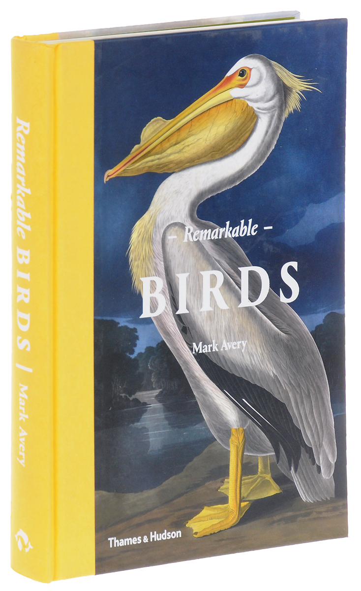 Remarkable Birds стулья для салона thailand such as