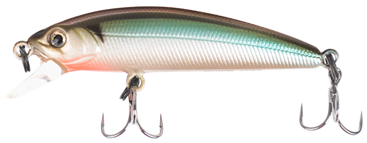 Воблер Tsuribito Minnow SS, цвет 541, 42 мм72528 Воблер Tsuribito Minnow SS, цвет 541, 42 мм72528Ну, кто не знает цурибитовские хиты? Dead Minnow, Pencil 47, Jerkbait, Deep Shaker, крэнки…Пришло время знакомиться с новинками.Три подгруппы линейки Tsuribito Minnow в размерах 35 мм., 42 мм., 50 мм. С этим именем были воблеры от 60 мм и больше (60, 80, 95, 110, 130 мм.). Теперь же семейство приросло меньшими форматами.Этот малек точь в точь как предыдущий 35-ый, только двумя неделями жизни позже – чуть откормившийся и подросший. Для спиннингистов же прирост 7 мм. и 0.5 грамма будет уже довольно ощутим: воблер становится чуть менее требовательным к деликатности снасти (толщине лески и ее материалу, к тесту и строю спиннинга). На проводке воблеры ведут себя все более «минношно», а дальность полета на одной и той же снасти несколько увеличивается по сравнению с меньшими собратьями. Один нюанс, на который как-то следует обратить внимание – это маленькие тройники Owner. К качеству нет никаких претензий. Но нужно понимать, что физиология рыб – штука важная, размер и форма рта, губастость или строение челюстей, по-разному будут контактировать с тройниками. Так что в некоторых случаях может и имеет смысл заранее переоснащать Tsuribito Minnow 42 на хорошие одинарники.