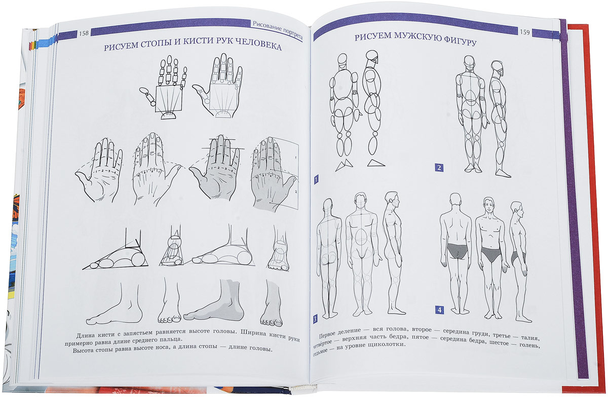 Книги по рисованию. Самоучитель по рисованию человека. Учебник рисования. Книга самоучитель по рисованию.