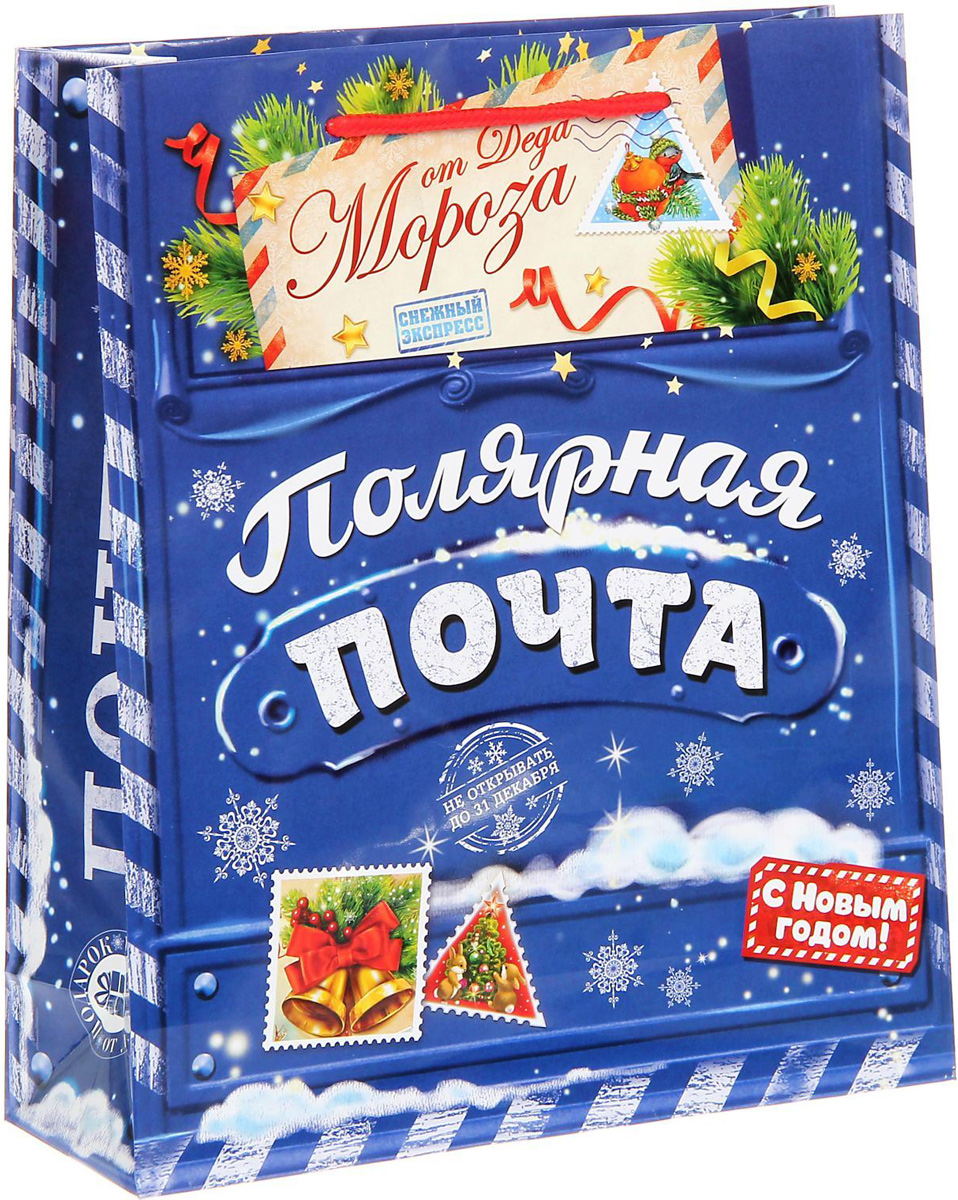 Пакет подарочный Sima-land Полярная почта, 23 х 27 х 8 см1299743 Пакет подарочный Sima-land Полярная почта, 23 х 27 х 8 см1299743Подарочный пакет Sima-land, изготовленный из плотной бумаги, станет незаменимым дополнением к выбранному подарку. Дно изделия укреплено плотным картоном, который позволяет сохранить форму и исключает возможность деформации дна под тяжестью подарка. Для удобной переноски имеются две ручки из шнурков.Подарок, преподнесенный в оригинальной упаковке, всегда будет самым эффектным и запоминающимся. Окружите близких людей вниманием и заботой, вручив презент в нарядном, праздничном оформлении.