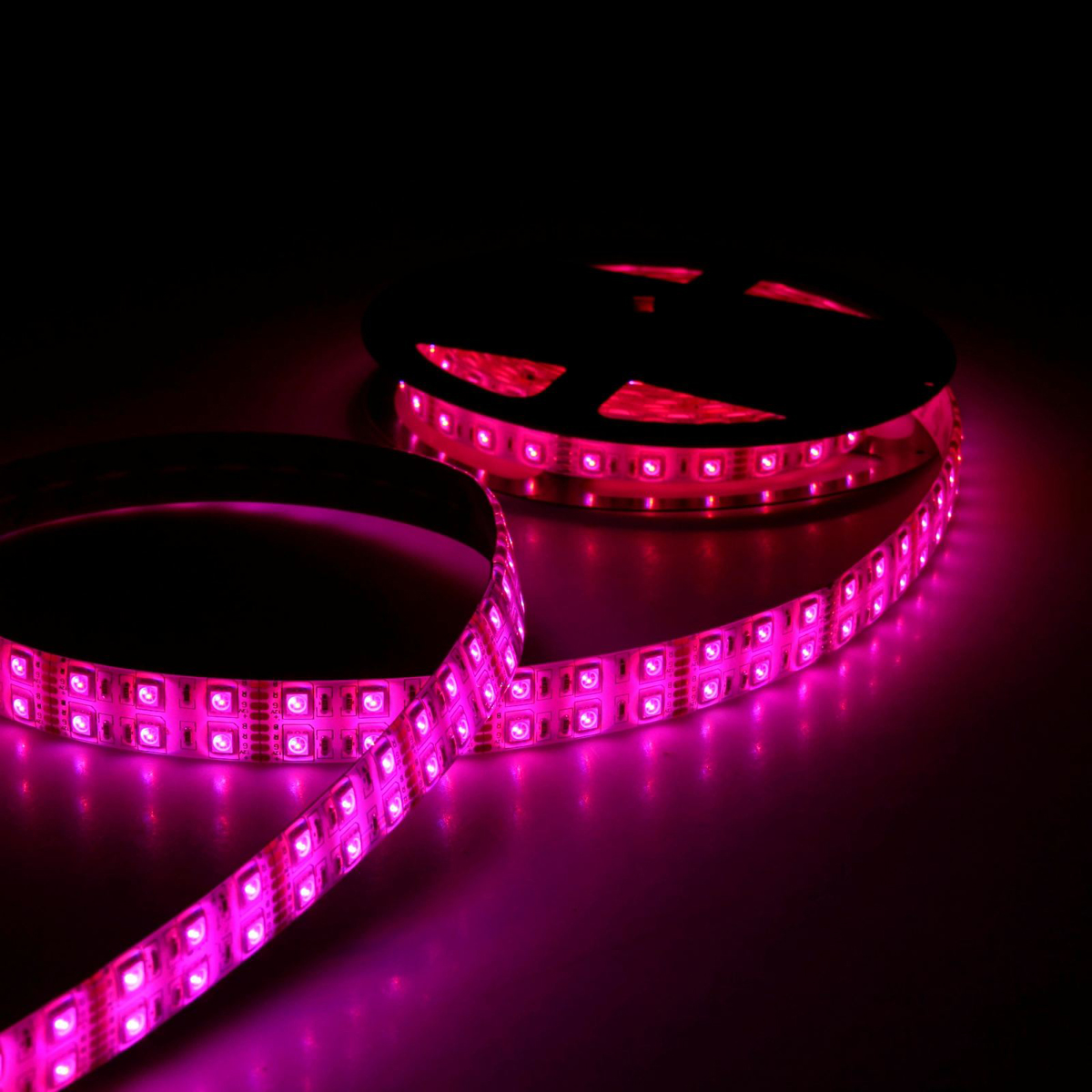 Светодиодная лента Sima-land, 12В, SMD5050, длина 5 м, IP65, 120 LED ламп, 28.8 Вт/м, 10-12 Лм/1 LED, цвет: мультиколор848563 Светодиодная лента Sima-land, 12В, SMD5050, длина 5 м, IP65, 120 LED ламп, 28.8 Вт/м, 10-12 Лм/1 LED, цвет: мультиколор848563Светодиодные гирлянды, ленты и т.д — это отличный вариант для новогоднего оформления интерьера или фасада. С их помощью помещение любого размера можно превратить в праздничный зал, а внешние элементы зданий, украшенные ими, мгновенно станут напоминать очертания сказочного дворца. Такие украшения создают ауру предвкушения чуда. Деревья, фасады, витрины, окна и арки будто специально созданы, чтобы вы украсили их светящимися нитями.