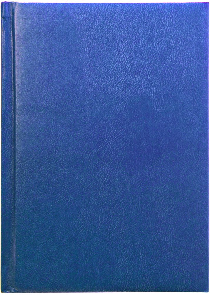 Index Ежедневник Profy 336 листов цвет синий формат А5IDN116/A5/BU Index Ежедневник Profy 336 листов цвет синий формат А5IDN116/A5/BUОбложка - высококачественная искусственная кожа, поролоновая подкладка. Внутренний блок - белый, офсет плотностью 70 г/м2, цветная печать. Переплет - твердый, каптал, ляссе. Дополнительные разделы: справочно - информационный блок, телефонно - адресная книга.336 страниц. Формат А5