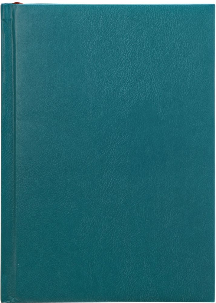 Index Ежедневник Profy 336 листов цвет изумрудный формат А5IDN116/A5/GN Index Ежедневник Profy 336 листов цвет изумрудный формат А5IDN116/A5/GNОбложка - высококачественная искусственная кожа, поролоновая подкладка. Внутренний блок - белый, офсет плотностью 70 г/м2, цветная печать. Переплет - твердый, каптал, ляссе. Дополнительные разделы: справочно - информационный блок, телефонно - адресная книга.336 страниц. Формат А5