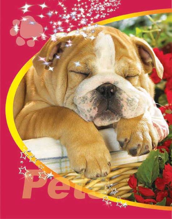 Тетрадь Pets Щенок 48 листов цвет коричнево-красный08-1204 Тетрадь Pets Щенок 48 листов цвет коричнево-красный08-1204Тетрадь 48 л. кл. на гребне Pets Щенок в к ТП-2-2