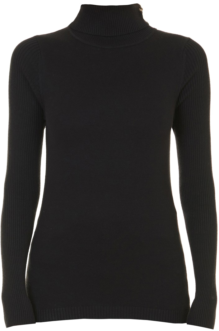 Водолазка женская Baon, цвет: черный. B227507_Black. Размер XXL (52)B227507_Black Водолазка женская Baon, цвет: черный. B227507_Black. Размер XXL (52)B227507_BlackВодолазка женская Baon выполнена из акрила и хлопка. Модель с воротником гольф и длинными рукавами.