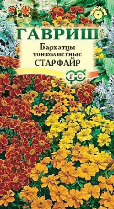 Семена Гавриш Бархатцы тонколистные. Старфайр4601431006010 Семена Гавриш Бархатцы тонколистные. Старфайр4601431006010Уважаемые клиенты! Обращаем ваше внимание на то, что упаковка может иметь несколько видов дизайна. Поставка осуществляется в зависимости от наличия на складе.