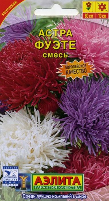 Семена Аэлита Астра. Фуэте смесь4601729010460 Семена Аэлита Астра. Фуэте смесь4601729010460Уважаемые клиенты! Обращаем ваше внимание на то, что упаковка может иметь несколько видов дизайна. Поставка осуществляется в зависимости от наличия на складе.