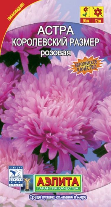 Семена Аэлита Астра. Королевский размер розовая4601729020889 Семена Аэлита Астра. Королевский размер розовая4601729020889Уважаемые клиенты! Обращаем ваше внимание на то, что упаковка может иметь несколько видов дизайна. Поставка осуществляется в зависимости от наличия на складе.