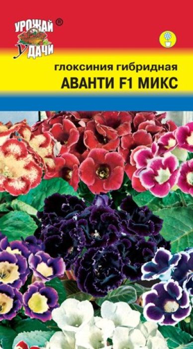 Семена Урожай удачи Глоксиния. Аванти Микс F14607127313806 Семена Урожай удачи Глоксиния. Аванти Микс F14607127313806Уважаемые клиенты! Обращаем ваше внимание на то, что упаковка может иметь несколько видов дизайна. Поставка осуществляется в зависимости от наличия на складе.
