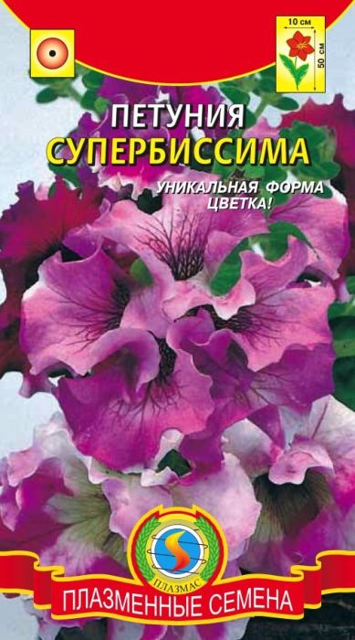 Семена Плазмас Петуния. Супербиссима4607171982348 Семена Плазмас Петуния. Супербиссима4607171982348Уважаемые клиенты! Обращаем ваше внимание на то, что упаковка может иметь несколько видов дизайна. Поставка осуществляется в зависимости от наличия на складе.