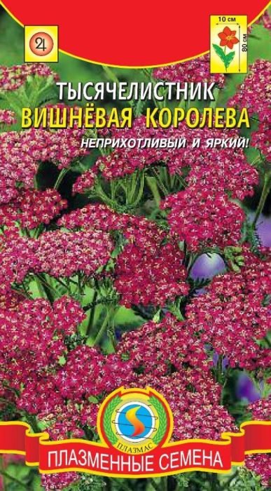 Семена Плазмас Тысячелистник. Вишневая королева4607171983192 Семена Плазмас Тысячелистник. Вишневая королева4607171983192Уважаемые клиенты! Обращаем ваше внимание на то, что упаковка может иметь несколько видов дизайна. Поставка осуществляется в зависимости от наличия на складе.