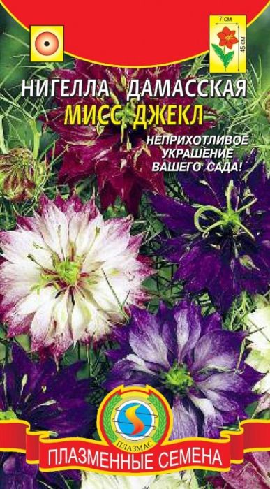 Семена Плазмас Нигелла дамасская. Мисс Джекл4607171983369 Семена Плазмас Нигелла дамасская. Мисс Джекл4607171983369Уважаемые клиенты! Обращаем ваше внимание на то, что упаковка может иметь несколько видов дизайна. Поставка осуществляется в зависимости от наличия на складе.