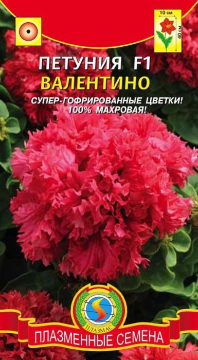 Семена Плазмас Петунья. Валентино F14607171987213 Семена Плазмас Петунья. Валентино F14607171987213Уважаемые клиенты! Обращаем ваше внимание на то, что упаковка может иметь несколько видов дизайна. Поставка осуществляется в зависимости от наличия на складе.