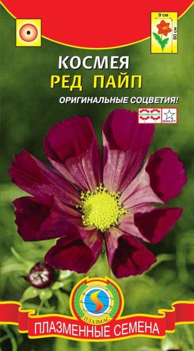 Семена Плазмас Космея. Ред Пайп4650001409041 Семена Плазмас Космея. Ред Пайп4650001409041Уважаемые клиенты! Обращаем ваше внимание на то, что упаковка может иметь несколько видов дизайна. Поставка осуществляется в зависимости от наличия на складе.