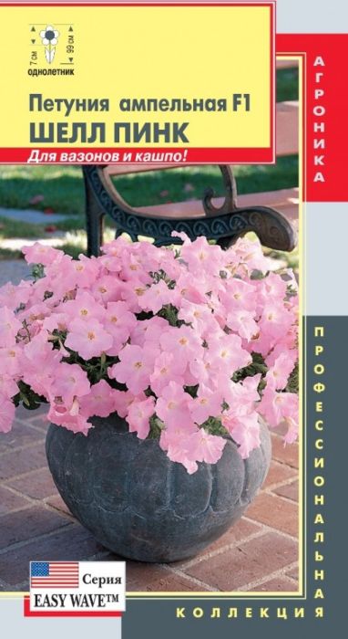 Семена Плазмас Петунья. Шелл Пинк F1 серия Easy Wave4680224001449 Семена Плазмас Петунья. Шелл Пинк F1 серия Easy Wave4680224001449Уважаемые клиенты! Обращаем ваше внимание на то, что упаковка может иметь несколько видов дизайна. Поставка осуществляется в зависимости от наличия на складе.