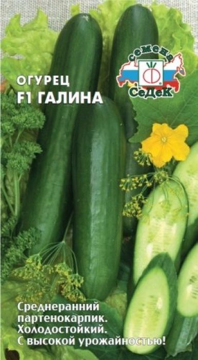 Семена Седек Огурец. Галина F14690368023948 Семена Седек Огурец. Галина F14690368023948Уважаемые клиенты! Обращаем ваше внимание на то, что упаковка может иметь несколько видов дизайна. Поставка осуществляется в зависимости от наличия на складе.