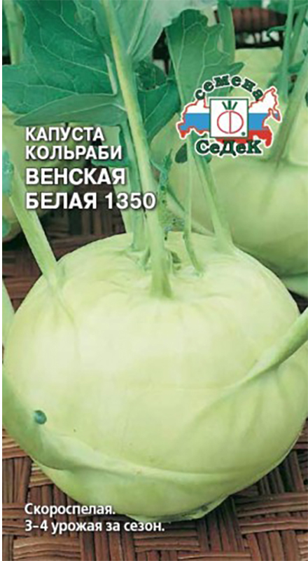 Семена Седек Капуста кольраби. Венская белая4607015181388 Семена Седек Капуста кольраби. Венская белая4607015181388Уважаемые клиенты! Обращаем ваше внимание на то, что упаковка может иметь несколько видов дизайна. Поставка осуществляется в зависимости от наличия на складе.