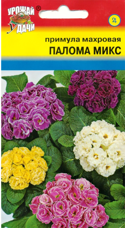Семена Урожай удачи Примула. Палома микс махровая4607127314049 Семена Урожай удачи Примула. Палома микс махровая4607127314049Уважаемые клиенты! Обращаем ваше внимание на то, что упаковка может иметь несколько видов дизайна. Поставка осуществляется в зависимости от наличия на складе.