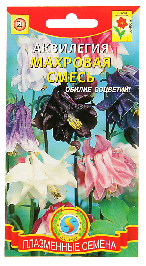 Семена Плазмас Аквилегия махровая. Смесь4607171981112 Семена Плазмас Аквилегия махровая. Смесь4607171981112Уважаемые клиенты! Обращаем ваше внимание на то, что упаковка может иметь несколько видов дизайна. Поставка осуществляется в зависимости от наличия на складе.