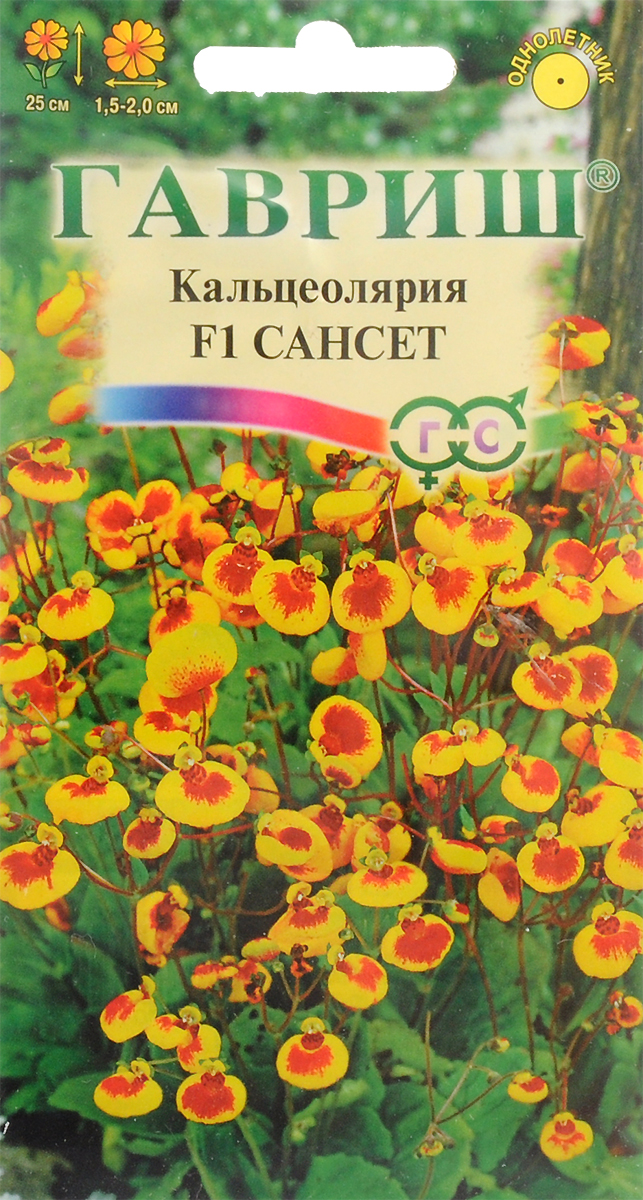 Семена Гавриш Кальцеолярия. F1 Сансет4601431013292 Семена Гавриш Кальцеолярия. F1 Сансет4601431013292Многолетнее травянистое растение высотой 25 см, выращиваемое как летник. Некрупные кожистые темно-зеленые листья образуют розетку с 10 короткими цветоносами. Цветки мелкие, диаметром 1,5 - 2 см, по форме напоминают бубенчики. Цветение длится с июня до заморозков. Посев в марте, поверхностный, без заделки. Всходы появляются через 12-15 дней. Сеянцы пикируют через месяц после появления всходов. На постоянное место высаживают в мае, оставляя между растениями 15-20 см. Кальцеолярия светолюбива, холодостойка и относительно засухоустойчива, хорошо растет на питательных, рыхлых почвах. В начале роста нужны регулярные поливы, взрослые растения поливают реже, только при подсыхании почвы. При регулярных подкормках комплексными удобрениями кальцеолярия отблагодарит вас обильным и продолжительным цветением. Осенью можно пересадить кальцеолярию в горшок и оставить зимовать в светлом помещении с температурой 5-10 °C. Затем в марте растение обрезают на одну треть или наполовину. В начале июня высаживают на балконах, в контейнерах, на переднем плане в миксбордерах, на альпийских горках.Уважаемые клиенты! Обращаем ваше внимание на то, что упаковка может иметь несколько видов дизайна. Поставка осуществляется в зависимости от наличия на складе.