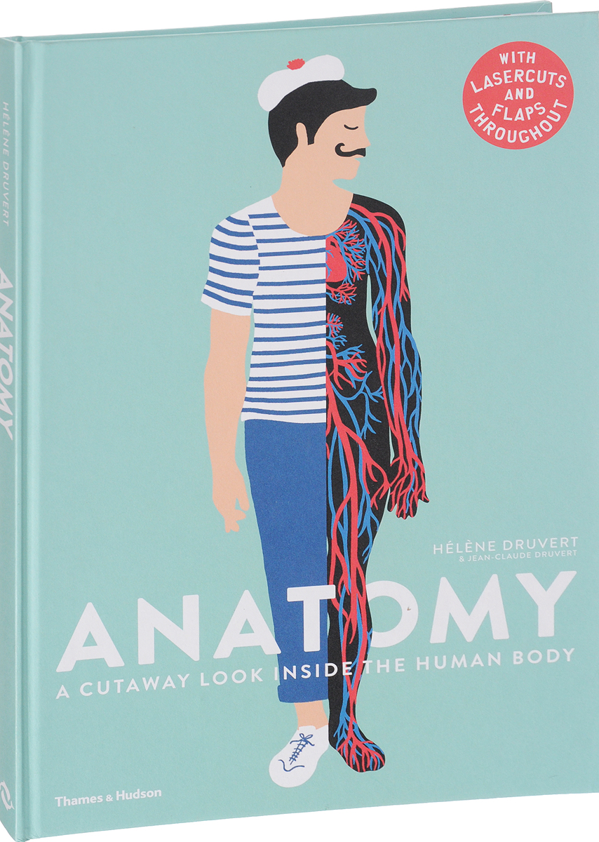 Anatomy: A Cutaway Look inside the Human Body