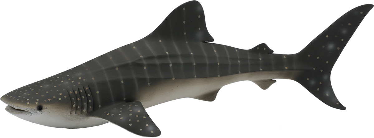 Collecta Фигурка Китовая акула