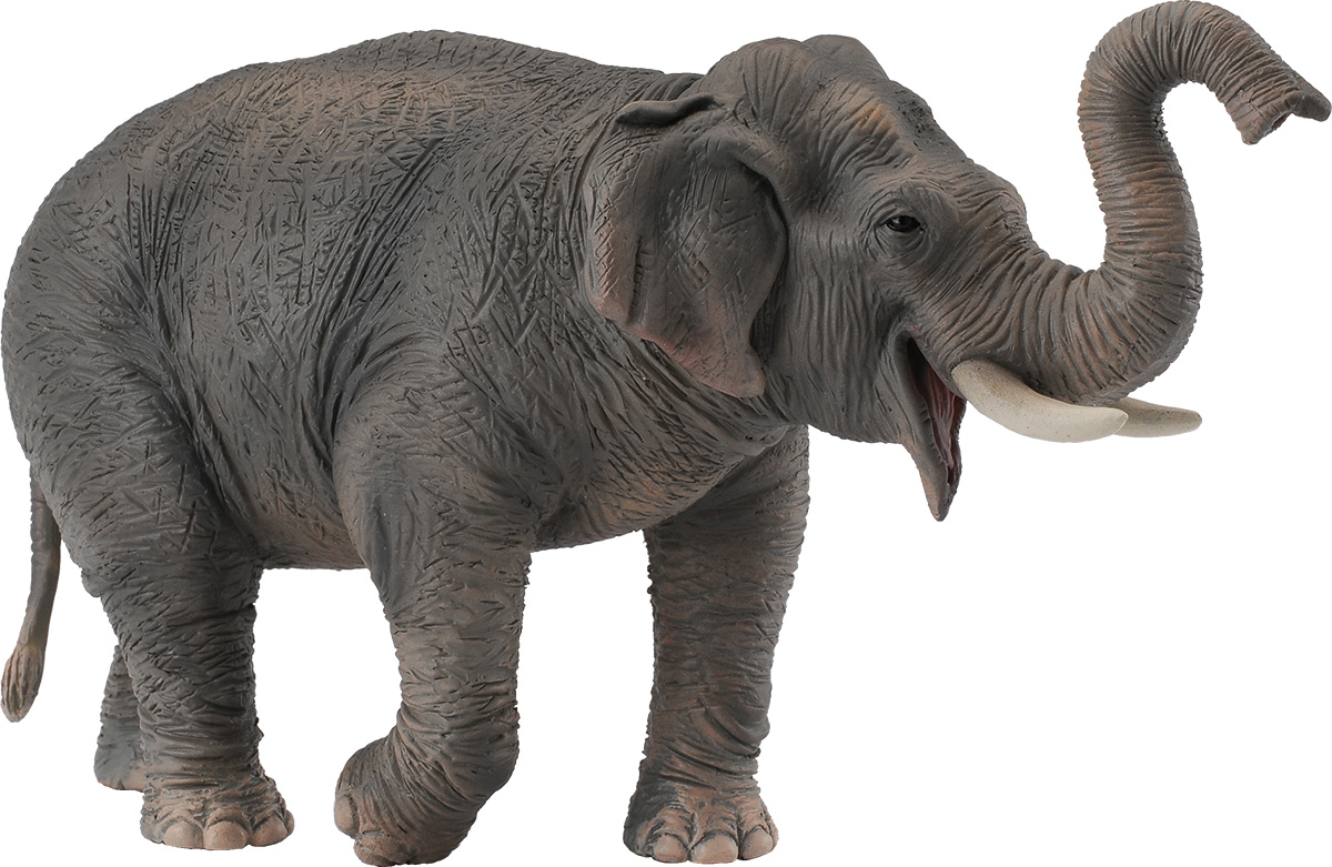 Collecta Фигурка Азиатский слон