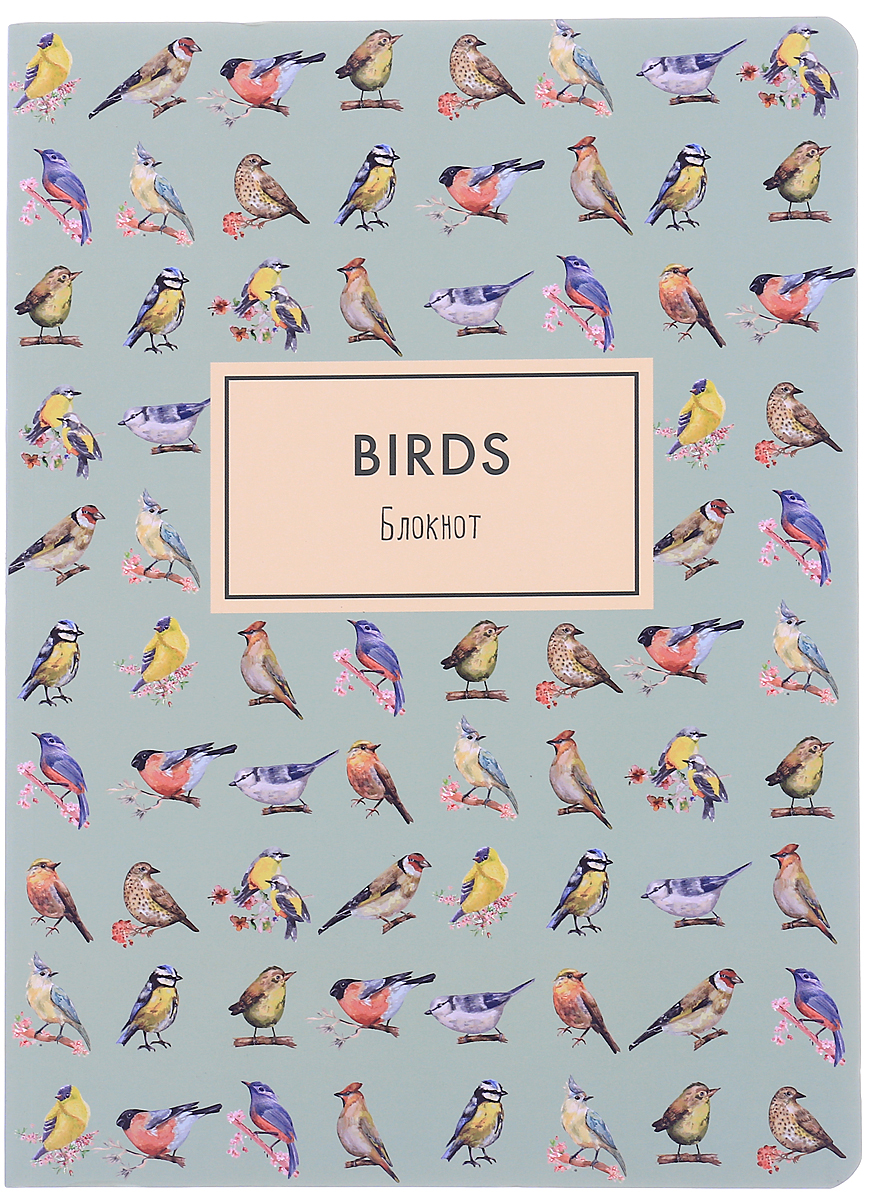 Birds. Блокнот