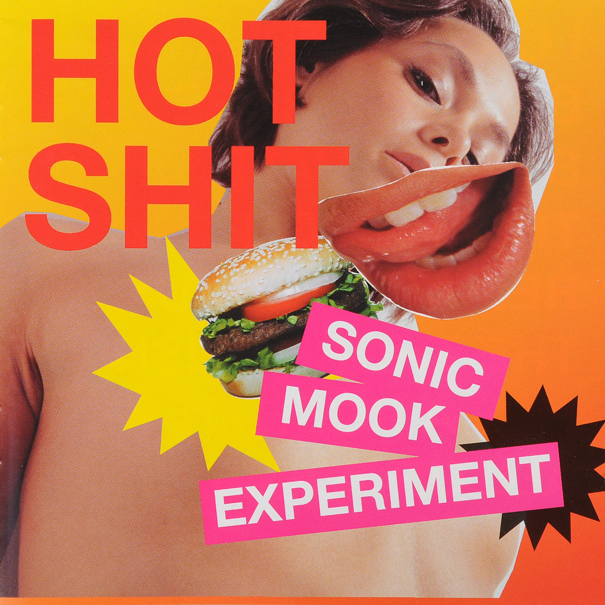 VARIOUS ARTISTS. SONIC MOOK 3: HOT SHIT