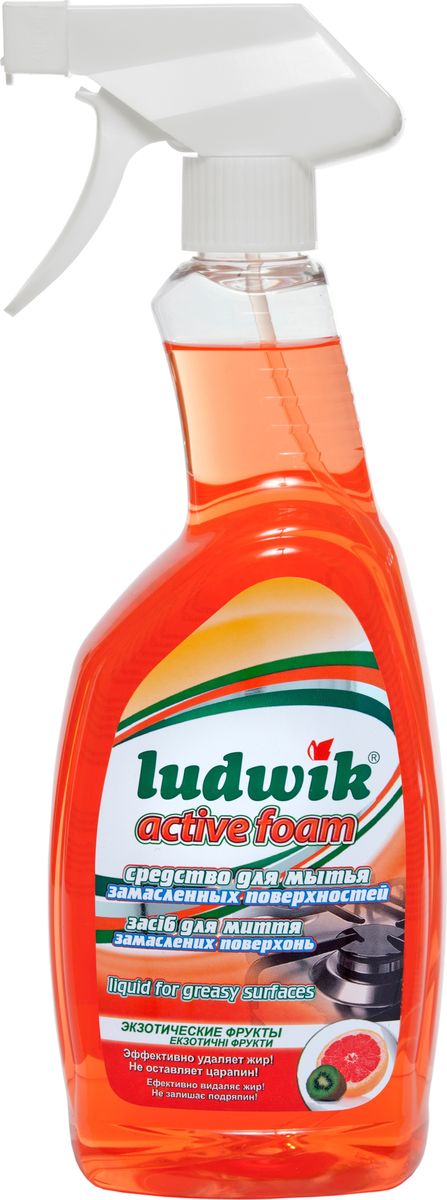 Чистящее средство Ludwik 
