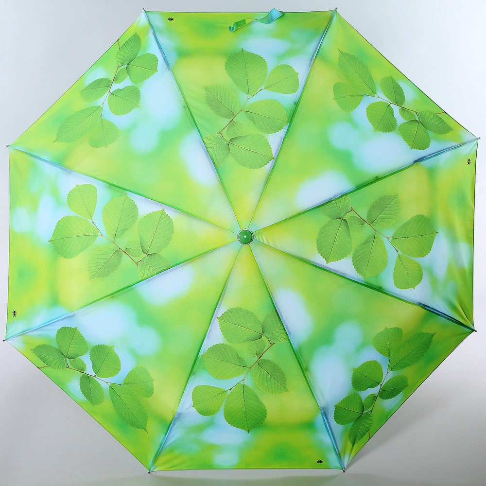 Зонт женский Magic Rain, полуавтомат, 3 сложения, цвет: светло-зеленый, голубой. 4231-1633