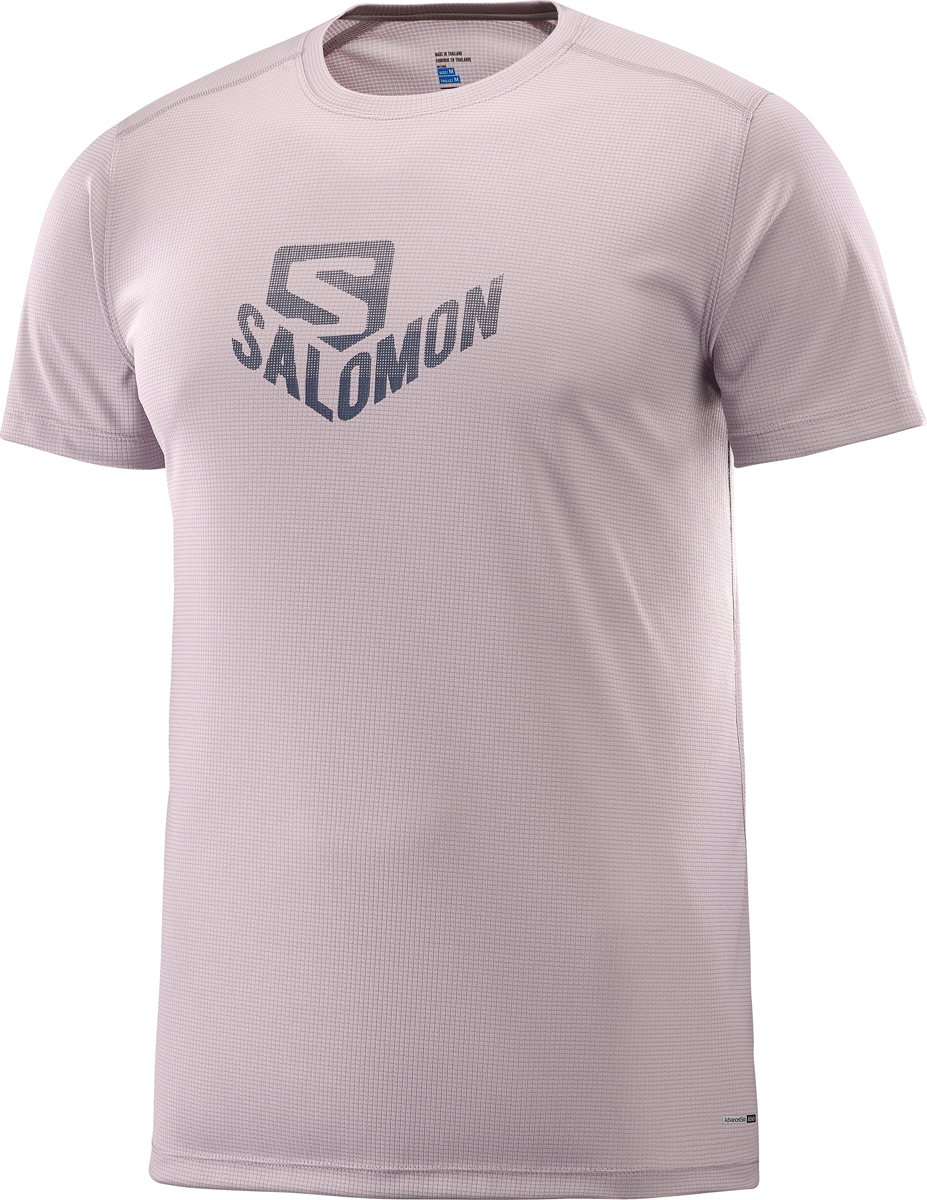 Футболка мужская Salomon Stroll Graphic SS Tee M, цвет: серый. L40098300. Размер L (50)