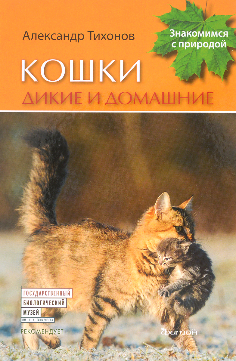 Кошки дикие и домашние. Александр Тихонов