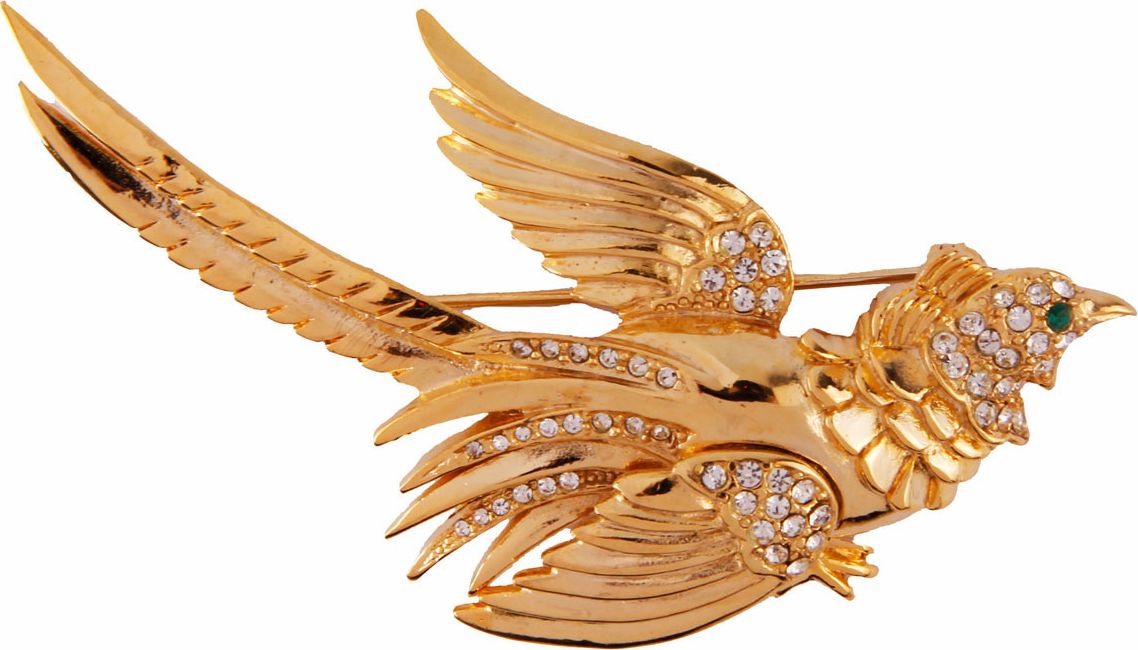 Золотые птички 2. Птица с золотыми крыльями. Брошь Золотая птица. Огромная Золотая птица. Птица из золота сверху.