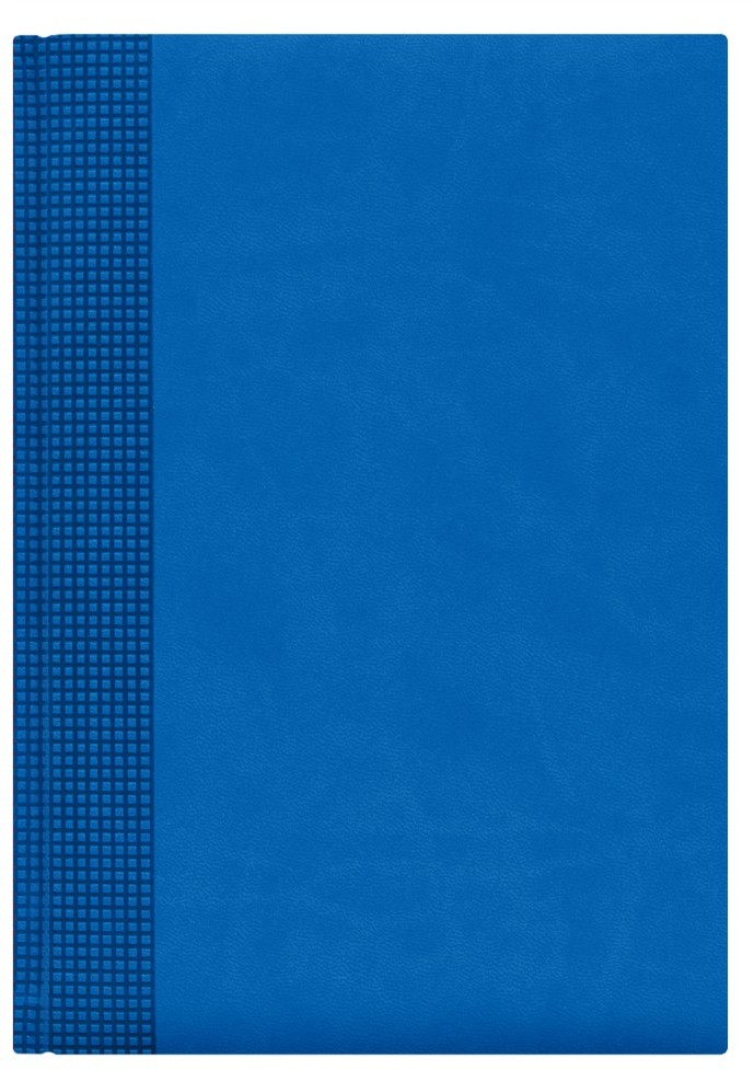 Nazarenogabrielli Ежедневник недатированный Velvet цвет голубой XX05451220-351
