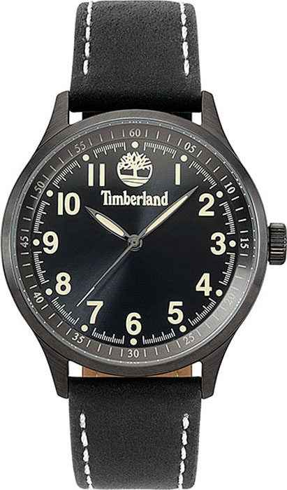 Часы наручные мужские Timberland, цвет: черный. TBL.15353JSU/02